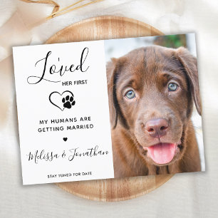 Cartão Postal De Anúncio Amou Ela Primeiro Pet Casamento Moderno Engajament