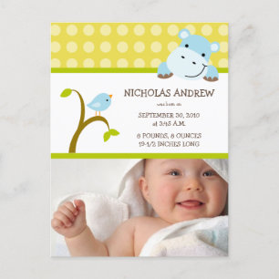 Cartão Postal De Anúncio Anunciamento de Nascimento do Bebê Hippo e Birdie