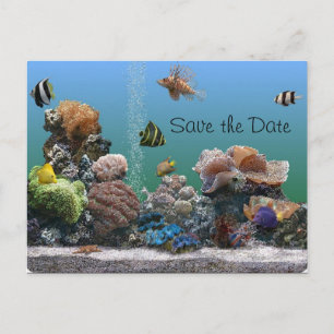 Cartão Postal De Anúncio Aquarium Salve a Data