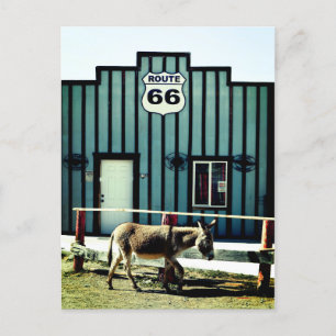 Cartão Postal De Anúncio Arizona de Donkey Town Oatman