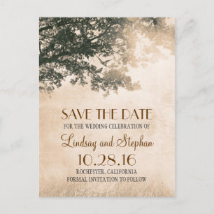 Cartão Postal De Anúncio árvore e amor aves ruidosas vintage salvar a data