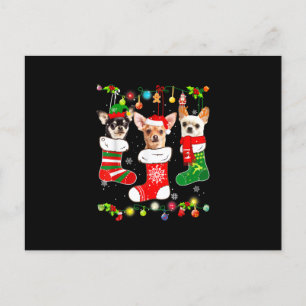 Cartão Postal De Anúncio as luzes de Natal do Chihuahua dão presente ao amo