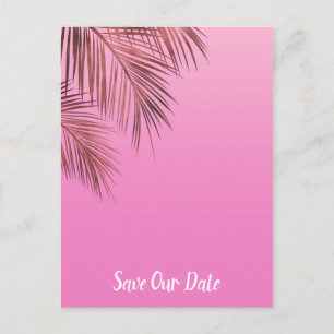 Cartão Postal De Anúncio Bahama Breeze Copper Palm Rosa Salve O Dia