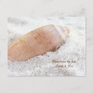 Cartão Postal De Anúncio Beach Seashell Salve o Cartão-Postal de Casamento