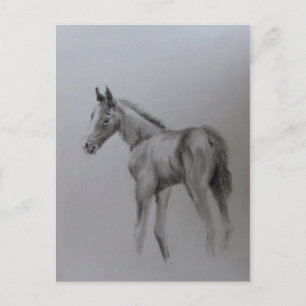 Cartão Postal De Anúncio Bebê novo