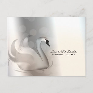 Cartão Postal De Anúncio Belo Cisne Prata Elegante Chic Salve a Data