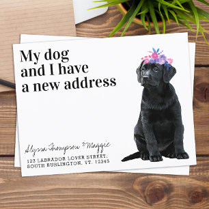 Cartão Postal De Anúncio Black Labrador, mudamos o novo endereço Cão move