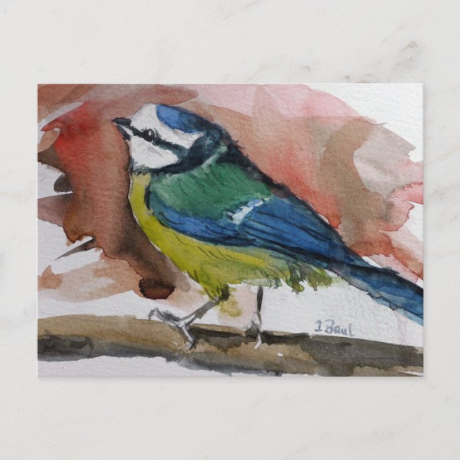 Cartão Postal De Anúncio Blaumeise (Frente)