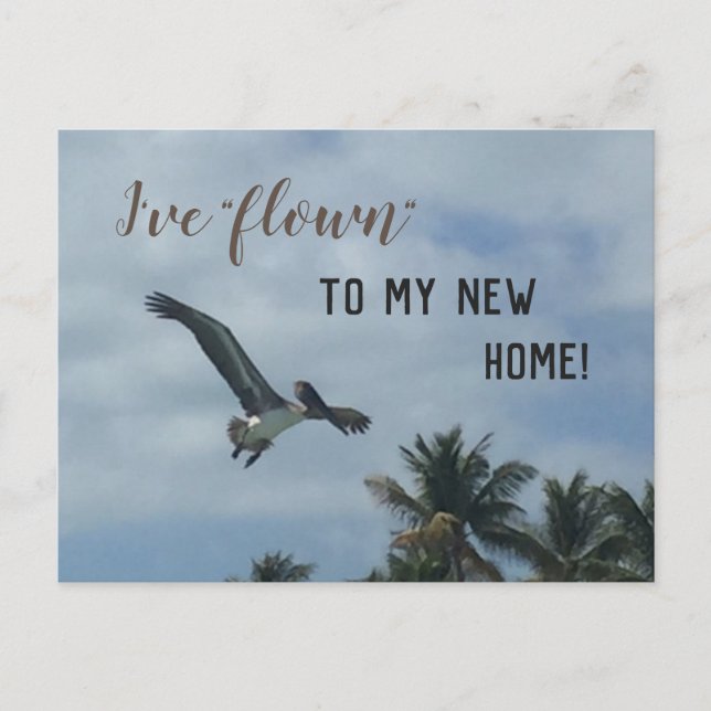 Cartão Postal De Anúncio Blue Change Of Address Pelican Photo New Home (Frente)