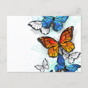 Cartão Postal De Anúncio Borboletas voadoras Morpho e Monarca