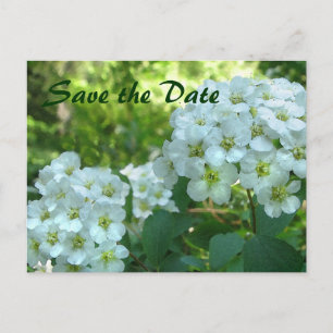 Cartão Postal De Anúncio Bridal Wreath Salvar a Data