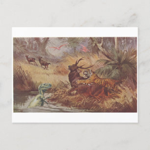 Cartão Postal De Anúncio Caça de Dino -
