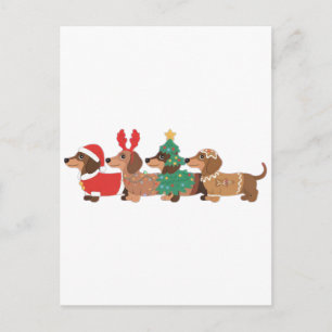 Cartão Postal De Anúncio Cachorro Dachshund Vestindo Amantes de Cães de Nat