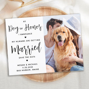 Cartão Postal De Anúncio Cachorro de Honra Casamento de Cachorro Salvar a D