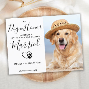 Cartão Postal De Anúncio Cachorro Moderno de Honra em Pet Casamento Noivado