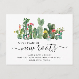 Cartão Postal De Anúncio Cactus Caquetário Plantou Novas Raízes Movimenta