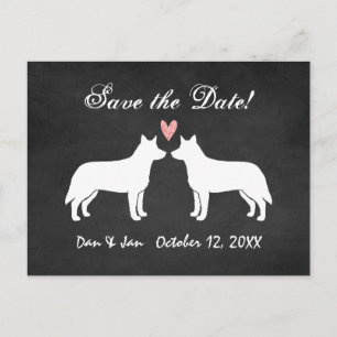 Cartão Postal De Anúncio Cães de Gado Australianos Casamento Salve a Data
