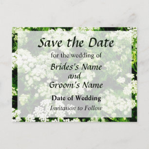 Cartão Postal De Anúncio Campo de Save the Date de Flor de Noiva