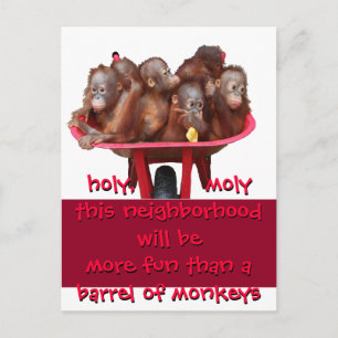Cartão Postal De Anúncio Cano de Macacos Divertido Mudança Movimentada