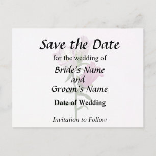 Cartão Postal De Anúncio Canterbury Bells Rosa