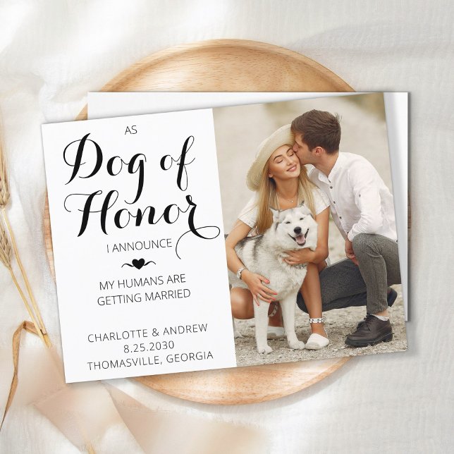 Cartão Postal De Anúncio Cão De Honra Foto Pet Wedding Salvar Data (Criador carregado)