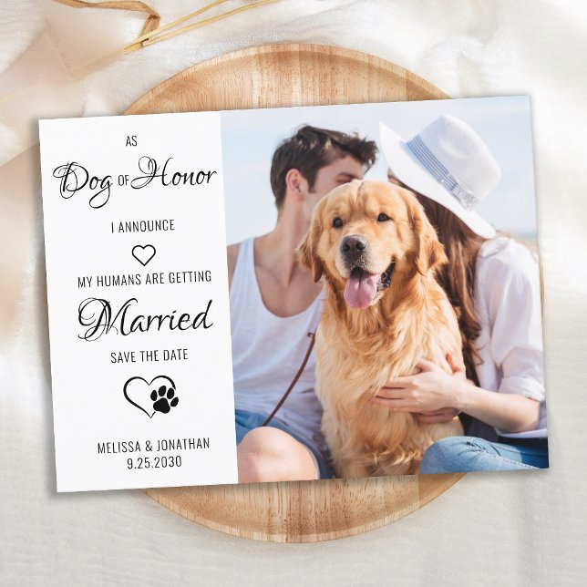 Cartão Postal De Anúncio Cão De Honra Pet Wedding Foto Salvar Data (Criador carregado)