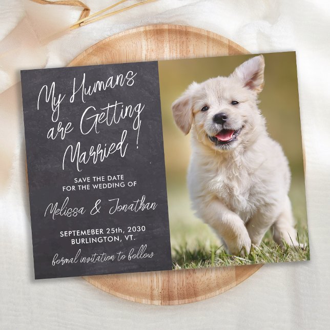 Cartão Postal De Anúncio Cão Fotográfico Personalizado Rustic Pet Wedding S (Criador carregado)