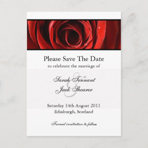 Cartão Postal De Anúncio Cartão de Save The Date Rosa Vermelha