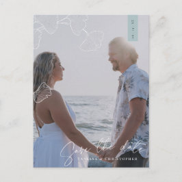 Cartão Postal De Anúncio Cartão-postal de lançamento Ginkgo Biloba