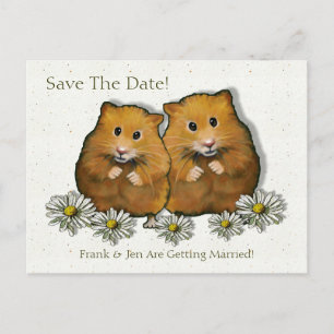 Cartão Postal De Anúncio Casal do hamster, margaridas: Salvar a data,
