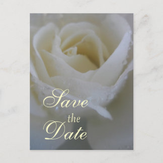 Cartão Postal De Anúncio Casamento Angel Rose