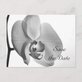 Cartão Postal De Anúncio Casamento com Flor da Orquídea Branca Salvar a Dat