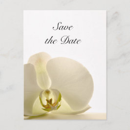 Cartão Postal De Anúncio Casamento com Flor da Orquídea Branca Salvar a Dat