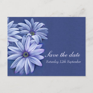 Cartão Postal De Anúncio Casamento de Daisy osteospermum salve o cartão de 
