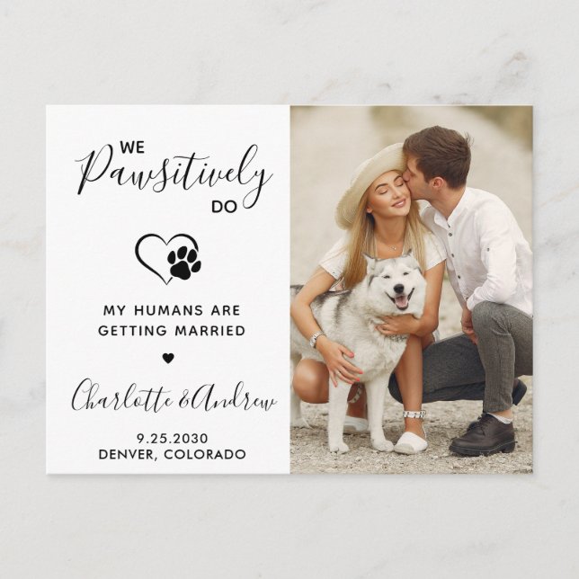 Cartão Postal De Anúncio Casamento de Estimação Moderno Foto Cachorro Salva (Frente)