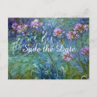 Casamento de Flores Agapanthus de Monet Salve a Da