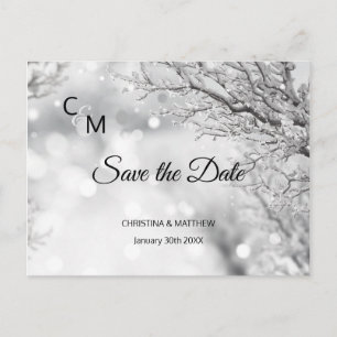 Cartão Postal De Anúncio Casamento de Neve Flocos de Neve no Inverno SAVE T