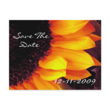 Casamento de noiva de noiva com data de salvamento