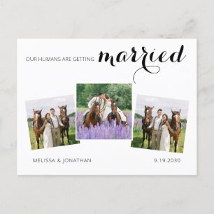 Cartão Postal De Anúncio Casamento de Pet Cavalo de Foto Personalizado 3 Sa