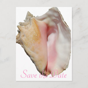 Cartão Postal De Anúncio Casamento de praia de Seashell Conch
