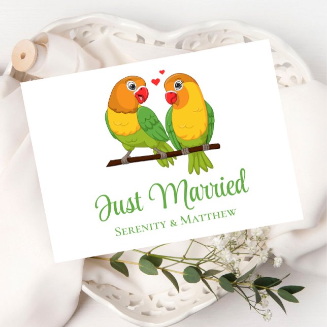 Cartão Postal De Anúncio Casamento de Recens casados de Aves do Amor (Criador carregado)