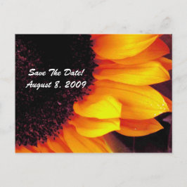 Cartão Postal De Anúncio Casamento Floral De Girassol De ouro Salvo A Data