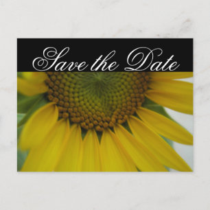 Cartão Postal De Anúncio Casamento Little Sunflower