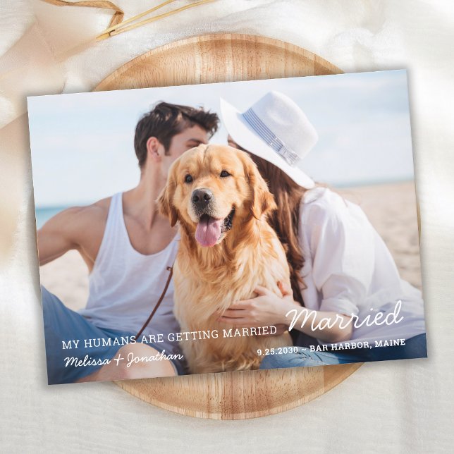 Cartão Postal De Anúncio Casamento Simples de Animais de Estimação Cachorro (Criador carregado)