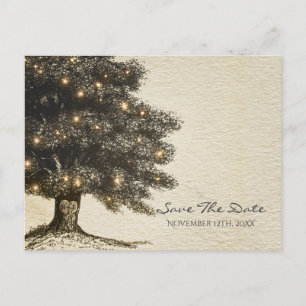 Cartão Postal De Anúncio Casamento Vintage Rústico Árvore & Luzes Salvar a 