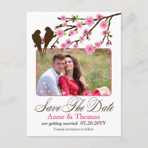 Cartão Postal De Anúncio Cherry Blossom and Love Birds Foto Salvar Data