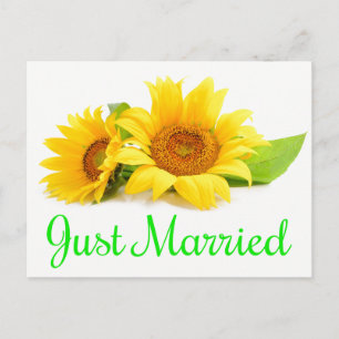 Cartão Postal De Anúncio Chique de Rosa Rosa, Recem casados