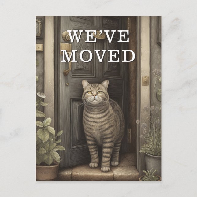 Cartão Postal De Anúncio Comunicado de Mudança do Gato (Frente)