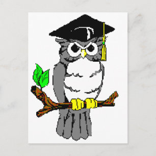 Cartão Postal De Anúncio Coruja de Graduação