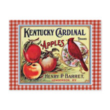 Cartão postal de Anúncio da Apple Vintage